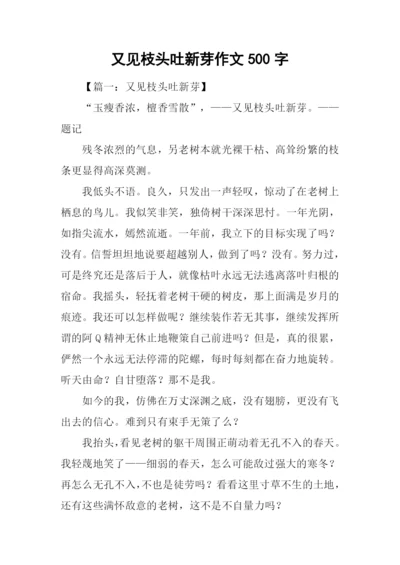 又见枝头吐新芽作文500字.docx
