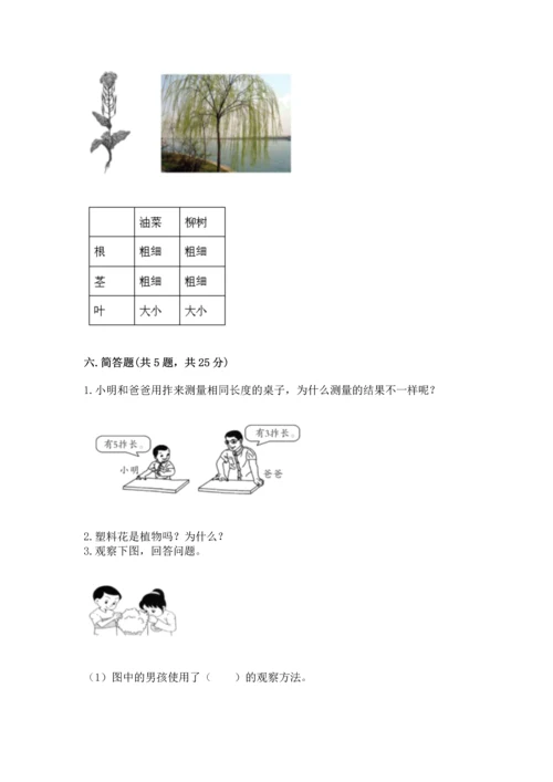 教科版一年级上册科学期末测试卷【达标题】.docx