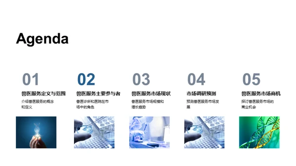 兽医市场蓝海探秘