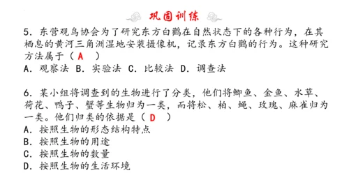 1.1 认识生物 2023-2024学年七年级生物上学期期末考点大串讲（人教版）(共19张PPT)