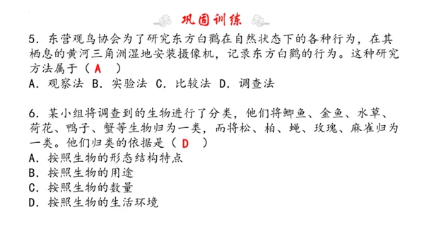 1.1 认识生物 2023-2024学年七年级生物上学期期末考点大串讲（人教版）(共19张PPT)