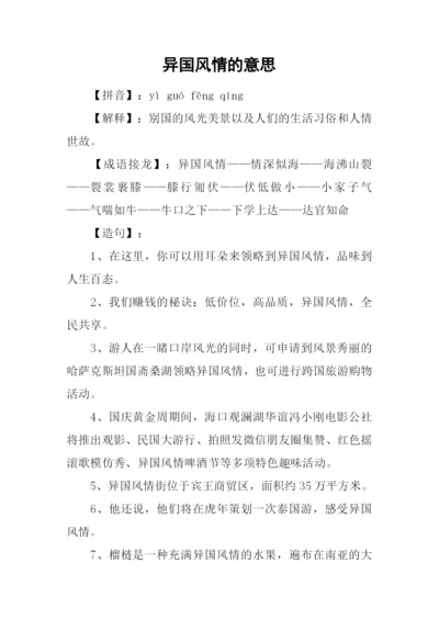 异国风情的意思.docx