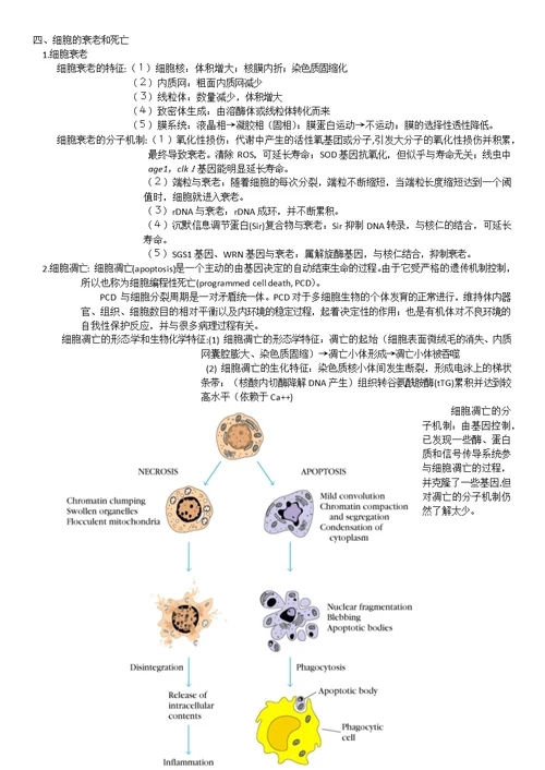 高中生物竞赛细胞的生活