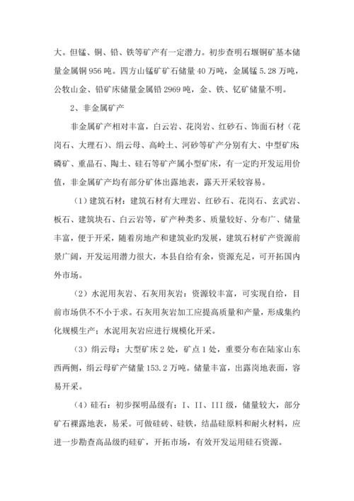 推进矿产资源开发整合实施专题方案.docx