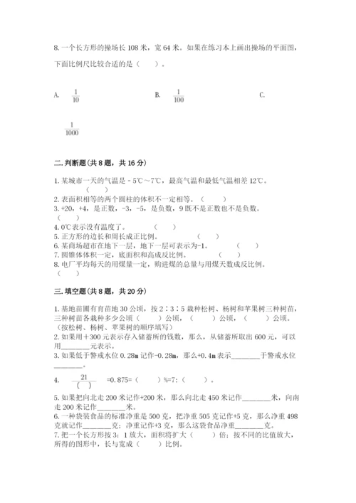 小学六年级下册数学期末卷（考点精练）.docx