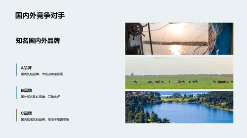 乳粉市场终极攻略
