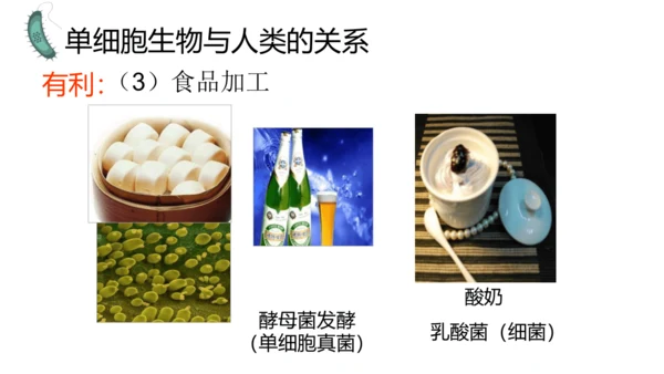 人教版生物七年级上册1.3.4 单细胞生物 教学课件（共22张ppt）+视频素材