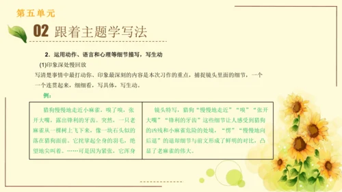 统编版语文四年级上册2024-2025学年度第五单元习作： 生活万花筒（课件）