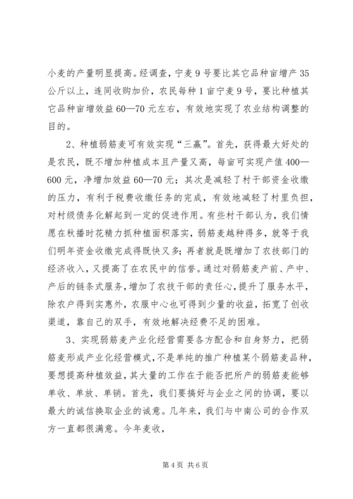 发展弱筋麦产业促进农业增收增效.docx