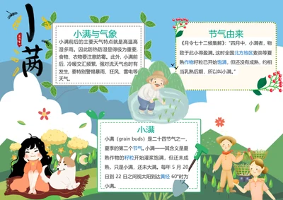 小满传统节气Word小报