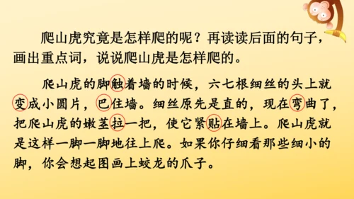 10 爬山虎的脚   课件