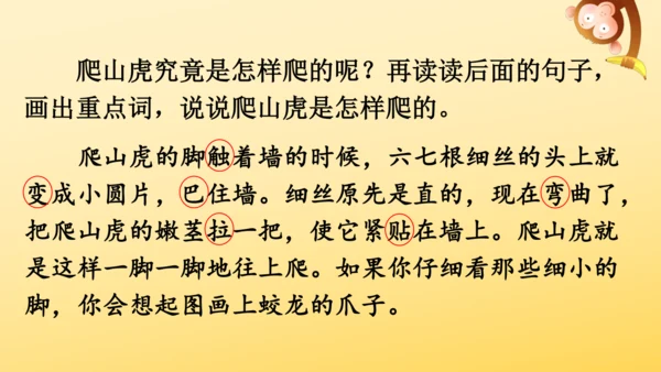 10 爬山虎的脚   课件