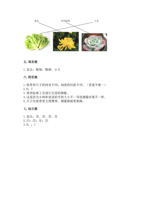 教科版科学一年级上册期末测试卷精品（黄金题型）.docx