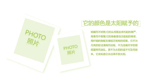 致青春毕业季大学毕业纪念册电子相册动态PPT