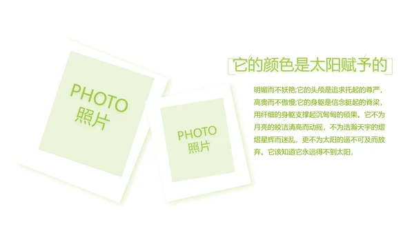 致青春毕业季大学毕业纪念册电子相册动态PPT