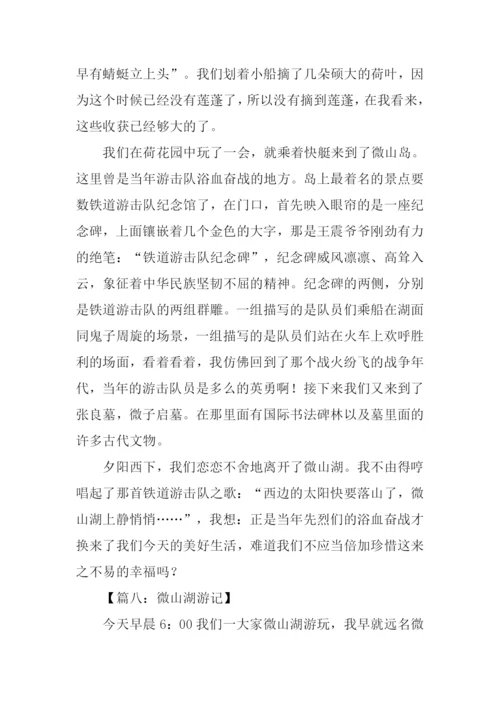微山湖游记作文.docx
