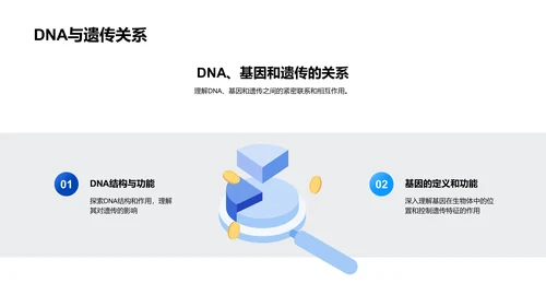 DNA与遗传解析PPT模板