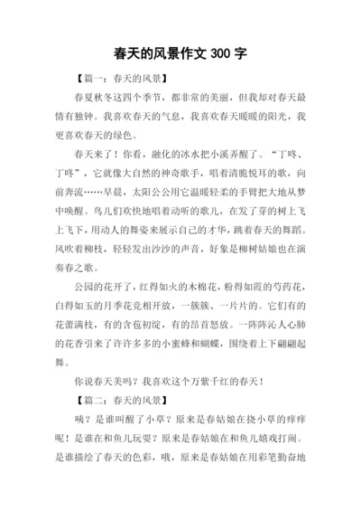 春天的风景作文300字.docx