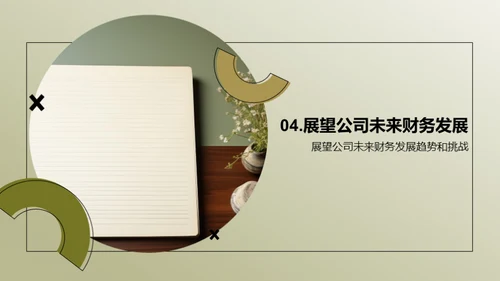 财务解析：20XX年度总结