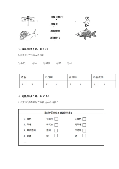 教科版小学科学一年级下册期末测试卷完整答案.docx