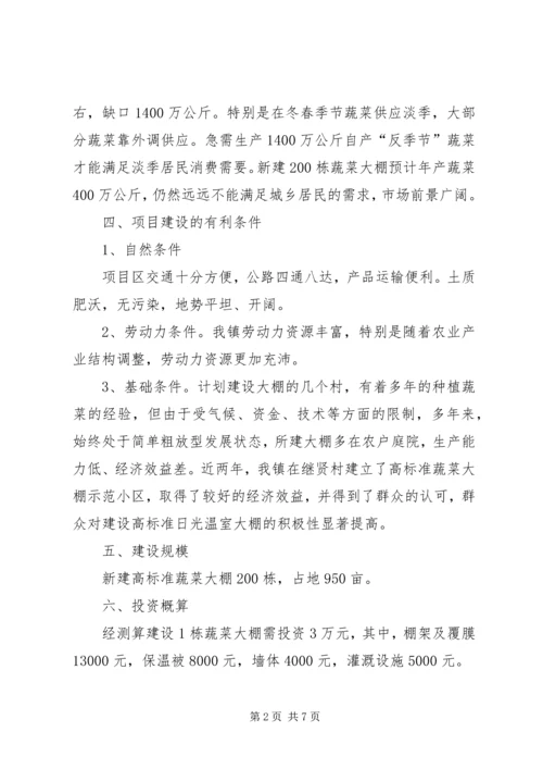 蔬菜大棚项目建设可行性报告 (6).docx