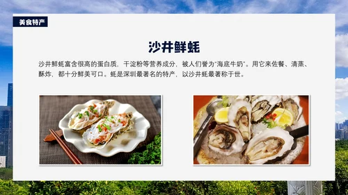 深圳印象通用PPT模板