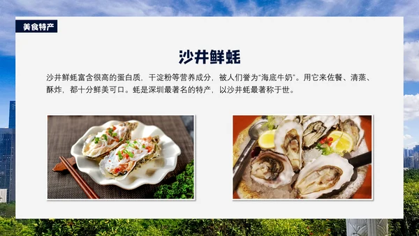 深圳印象通用PPT模板