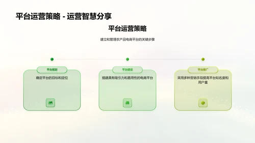 农业电商运营策略PPT模板