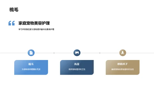 打造家庭宠物美容室