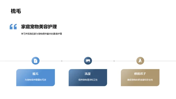 打造家庭宠物美容室