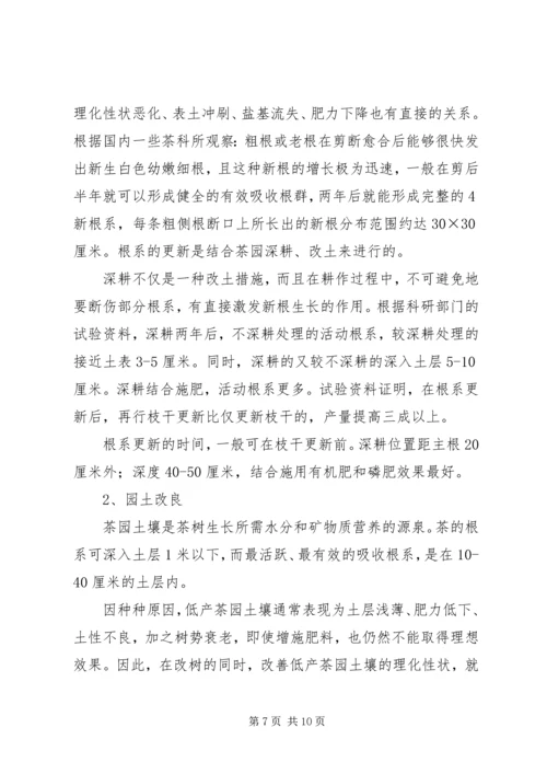 茶园改造实施方案 (3).docx