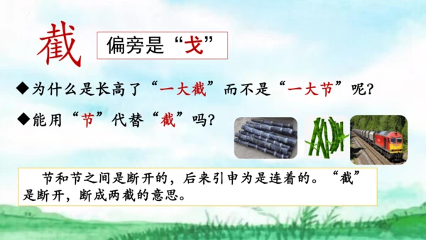 12寓言二则《揠苗助长》课件