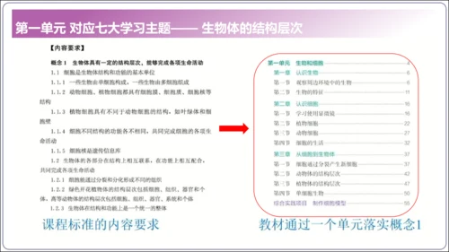 1.1&1.2 认识生物和细胞（复习课件）【2024人教新版七上生物高效完全备课】(共44张PPT)