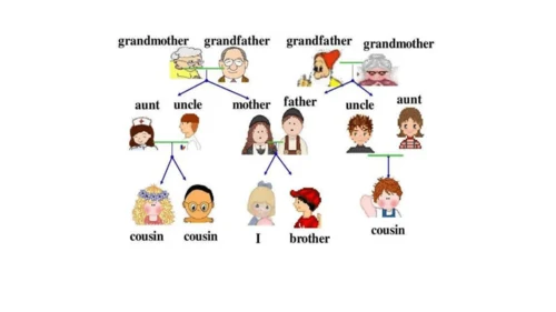 Unit 2   Different families课件（91张PPT)
