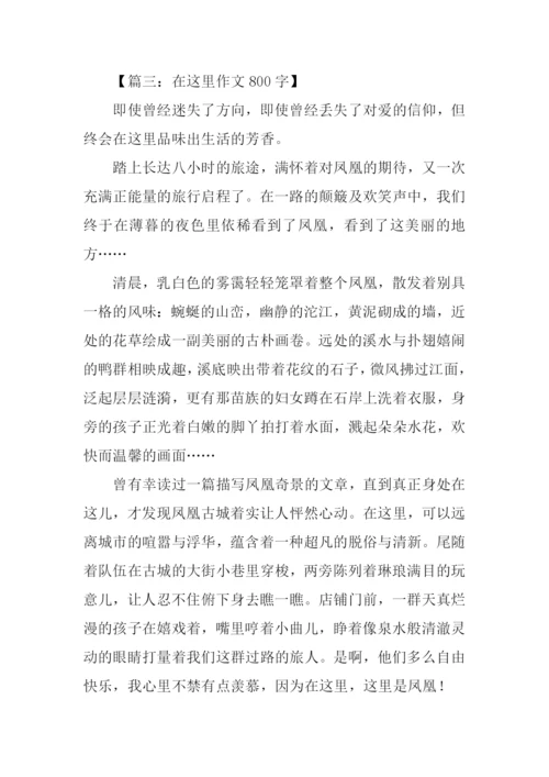 在这里作文800字.docx
