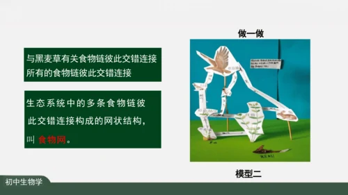1.2.2 生物与环境组成生态系统 课件（共25张PPT）