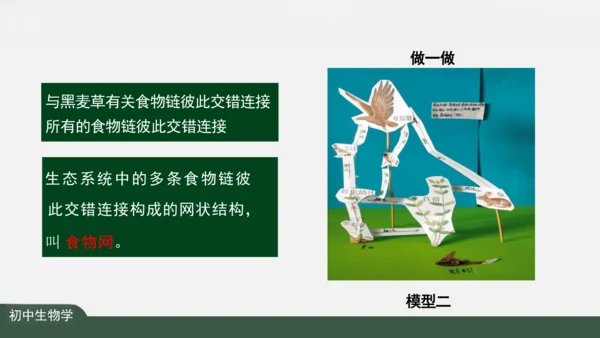 1.2.2 生物与环境组成生态系统 课件（共25张PPT）