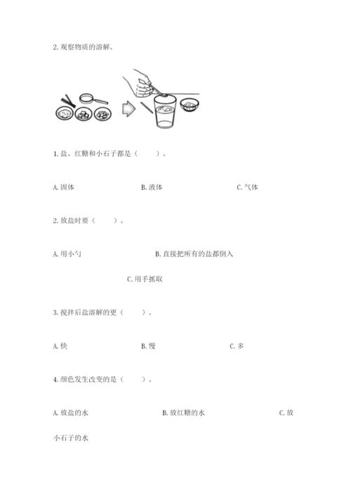 教科版小学科学一年级下册期末测试卷精品（全优）.docx