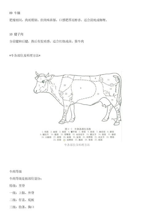 牛肉的部位图解与做法牛肉各个部位分布图及质地简介样稿