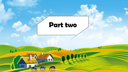 Module3 Unit2 The cows are drinking water 课件(共31张P