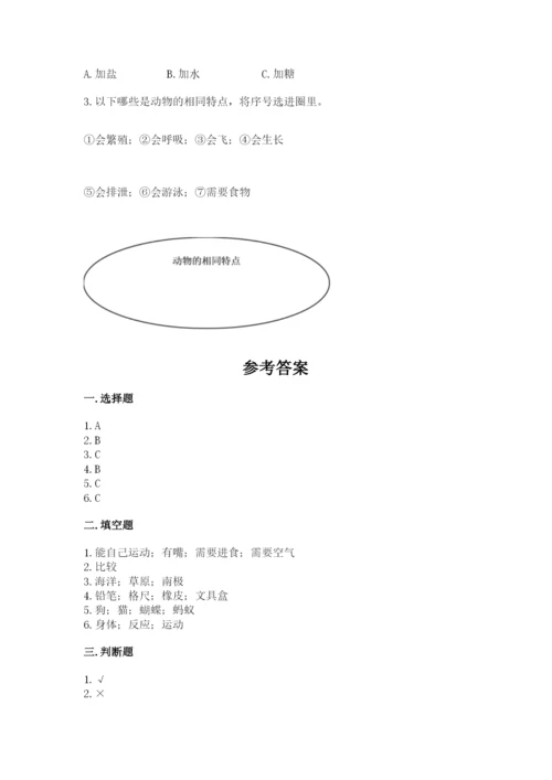 教科版一年级下册科学期末测试卷【典型题】.docx