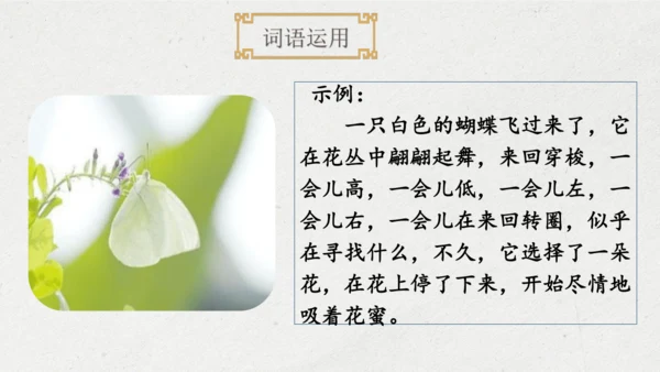 部编版四年级语文下册语文园地七（教学课件）