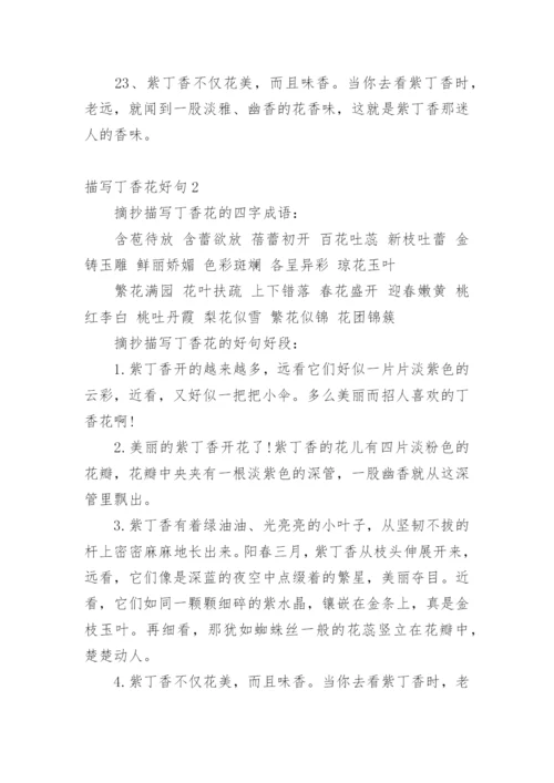 描写丁香花好句.docx