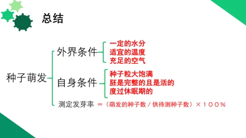 3.2.1 种子的萌发 2023-2024学年七年级生物上册精品教学课件（人教版）(共19张PPT)