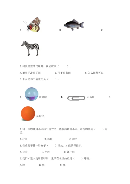 教科版一年级下册科学期末测试卷（考点梳理）word版.docx