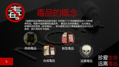 珍爱生命禁毒无毒PPT