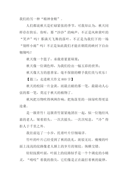 走进秋天作文800字-1.docx