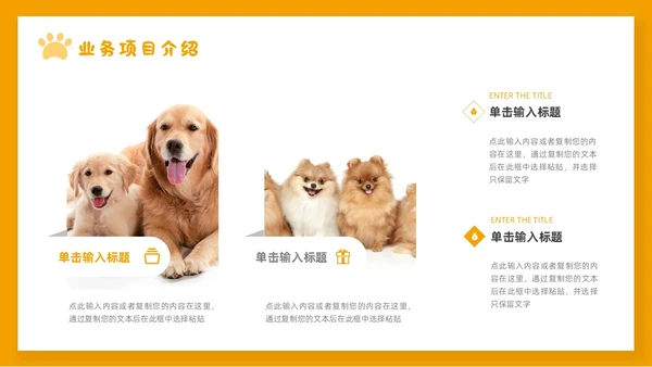 橙色简约宠物行业商业计划书PPT