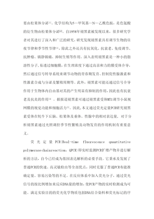 论文牦牛褪黑素受体在松果体下丘脑垂体性腺的表达量邓木金.docx