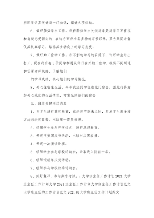 大学班主任工作计划范例